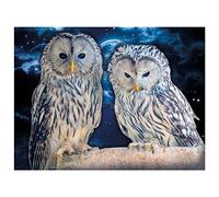 ideen mit herz 5D Diamond Painting | Kit de broderie diamant complet | 35 x 25 cm | toile à motifs | pierres rondes | accessoires et stylo inclus (Chouettes 01)