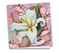 Ideen mit Herz Carte de vœux pour peinture diamant 16 cm x 16 cm 370 g/m² Avec enveloppe et outils Motif lys blanc et plumes
