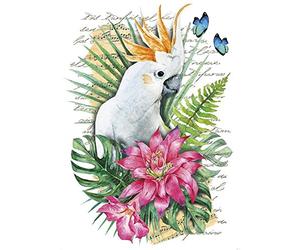 Ideen mit Herz Color Transfert à repasser, format A4, filigrane, sans fond, animaux tropicaux | Décorer les textiles avec motifs thermocollants | Images de transfert à repasser | Design textile DIY