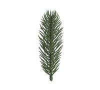 Ideen mit Herz Lot de 20 branches de sapin artificielles - Vert - 10 cm de long - Décoration de couronne de l'Avent - Vert sapin
