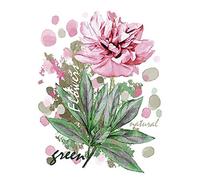 Ideen mit Herz Transferts thermocollants pour textile | DIN A4 | filigrane sans fond | série fleurs | idéal pour les t-shirts et les sacs | repasser des images rapidement et facilement (Design 06)