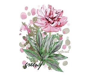 Ideen mit Herz Transferts thermocollants pour textile | DIN A4 | filigrane sans fond | série fleurs | idéal pour les t-shirts et les sacs | repasser des images rapidement et facilement (Design 06)