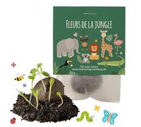 Ideenverlag HAMBURG 10x Jungle/Safari Bombes à graines Anniversaire d’Enfant/Fleurs de la Jungle - Jungle Fleurs Cadeau Boules avec graines comme Cadeau d’Anniversaire Bombes de graines pour Enfant