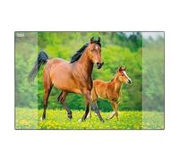 Idena 10454 - Sous-main avec deux poches, cheval, environ 58,5 x 38,5 cm, accessoire pratique pour les chambres d'enfants, de jeunes et d'études