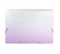 Idena 12109 - Porte-documents A4 en plastique, chemise à compartiments en blanc et violet avec 12 compartiments, trieur avec élastique, étiquettes d'identification incluses