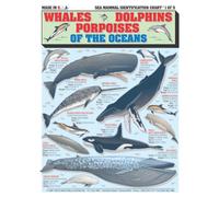 Identification des mammifères marins #1 (baleines, dauphins et marsouins) - Guide de référence rapide étanche | Portable et conçu pour durer | Double face et facile à lire | (taille, poids et