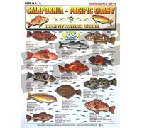 Identification des poissons de la côte californienne à la côte du Pacifique #14 - Guide de référence rapide étanche | Portable et conçu pour durer | Double face et facile à lire | (Taille, poids