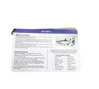 Identification des poissons et des requins en eau salée de Floride - 6 cartes de référence rapide imperméables double face avec règles FCC, limites de taille et plus de 120 poissons et requins