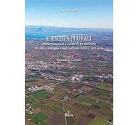 Identità plurali. Storia economica e sociale di un territorio tra città, campagna e lago, nell'area di BCC del Garda. Nuova ediz.