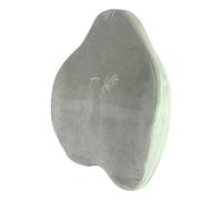 Identités, Coussins Confort Plus, Vegelya, Modèle Dossier, à Mémoire de Forme, Lombaire, Mousse Naturelle au Charbon Actif De Bambou, Ergonomique