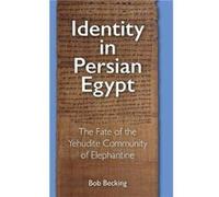 Identity in Persian Egypt by Becking & Bob Professor Emeritus & Utrecht University Becking Bob Professor Emeritus Utrecht University (Auteur)