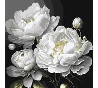 IDEYKA Beauté irréprochable avec des couleurs métalliques - Peinture par numéros pour adultes, peinture acrylique simple par numéro, peinture par numéro, adultes avec cadre, bricolage comme cadeau,