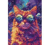 IDEYKA Peinture par numéros - Lunettes étoilées ©art_selena_ua Peinture par numéros pour adultes, peinture acrylique simple par numéros pour adultes, avec cadre, DIY comme cadeau, 30 x 40 cm