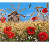 IDEYKA Peinture par numéros Nouvelle récolte Аlessandro Remi 40 x 50 cm avec cadre en bois, Loisirs Créatifs Adultes