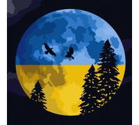 IDEYKA Peinture par numéros Sous le ciel ouvert 40x40 Ukraine avec cadre en bois