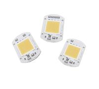 IDGTTLDF 10pcs Plant Grow Light LED 220V 50W Warm White 3200K Driverless COB LED Chips Light For Garden