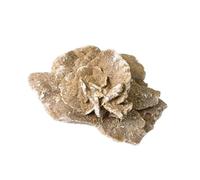 IDGTTLDF Crystal Desert Rose Rough Stone Mine Mark Ornaments Crystals Rock Free-Shaped Gem Fish Tank for Aquarium & Home Decor,50~100g
