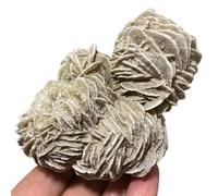IDGTTLDF Stone Desert Rose Cluster, Selenite Crystal Quartz Rock Collection(Size:20-50g)