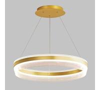 IDHBGJD Lustre Moderne à 1 Anneau, plafonnier Suspendu à intensité Variable, 55cm/19.7, 50 pièces, 2W, lumières LED pour Foyer