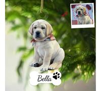 iDIY Boule de Noël Personnalisable - Boule de Noel Photo - Decoration de Noel Personnalisée - Boules de Noël sur Mesure Noel 2024 - Chien