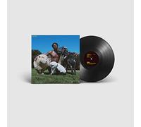 IDK – Is He Real? – Vinyle LP 12" 140 g Noir – Import – Warner Music