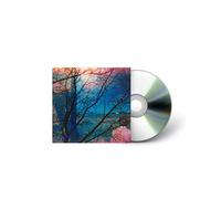 Idlewild CD
