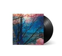Idlewild Vinyle