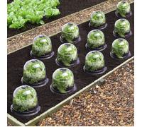 IDMARKET Cloche à salades x12 serre de protection pour plants