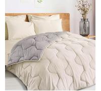IDMARKET Couette 140x200 CM ABBY bicolore gris clair et beige 300 gr