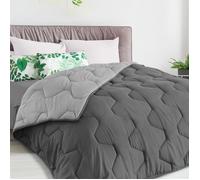 IDMARKET Couette 200x200 CM ABBY bicolore gris clair et gris 300 gr