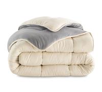 IDMarket – Couette Zoe 200x200 cm polaire biface 400 g Gris et crème