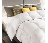 IDMarket - Couette 220x240 CM AELA Blanche en Plume d'oie Anti acarien 500 GR