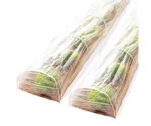 IDMarket - Lot de 2 Tunnels de forçage accordéon 4M