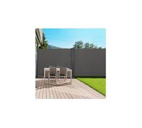 IDMarket - Paravent extérieur rétractable Double 160 x 800 CM Gris Anthracite Store latéral