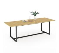 IDMarket - Table à Manger Extensible Rectangle Detroit 8-12 Personnes Design Industriel 200-250 cm