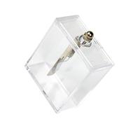 idqwsswt Électroscope à Feuilles - Outil pédagogique Essentiel pour Les Cours de Sciences - Compact pour Les laboratoires - Expérience de Physique avec Un