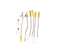 idqwsswt Kits scientifiques éducatifs et Pratiques pour fabriquer des Piles à Base de Fruits : projets d'apprentissage captivants, expérience de Bricolage