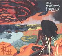 Idris Ackamoor & the Pyr - An Angel Fell -Digi-