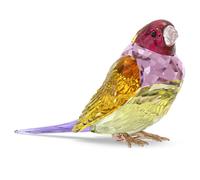 Idyllia SCS Diamant de Gould, grand modèle OS