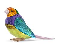 Idyllia SCS Diamant de Gould, petit modèle OS