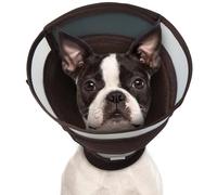 IECOii Cône pour chien après une chirurgie, alternative au cône de honte, collier électrique réglable pour empêcher le chien de lécher les plaies et protéger les points, collier de récupération