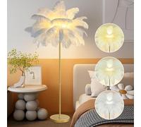 IEDZBEQ Lampe Plume Lampadaire en Plumes D'Autruche Lampadaire Salon 3 Couleurs À Intensité Variable,éClairage Domestique Lampe De Chevet Lampadaire Chambre pour Chambre À Coucher/Salle À Manger