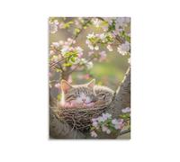 IEJKLUVWX Chat niché parmi les fleurs Tableau Décoratif Chat endormi Toile Impression HD Prêt À Accrocher Salon Chambre À Coucher Bureau Design Moderne 20x30inch(50x75cm)