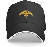 IEOGHWXY Casquette de Baseball Snapback Chapeau Soleil Les Chapeaux sont Chauds et élégants avec Badge Raider Navy Casquettes Vintage pour Femmes Hommes Cadeau d'anniversaire