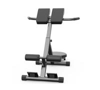 IEOWY Banc de Musculation Multifonctionnel de Type Chaise Romaine, Appareil d'extension réglable, équipement de Musculation pour abdominaux, Salle de Sport à Domicile, capacité 200 kg
