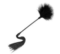Ieron Plume de Simulation Noire, Brosse Douce en Silicone, Fouet d'équitation, Plume de Simulation Douce, plumeau de Nettoyage de Plumes, Couple, Accessoires de Jeu de rôle (Noir)