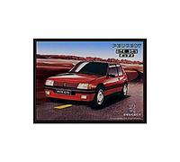 Collection auto France Plaque métal Peugeot 205 GTI I&S Collector (30x40cm) *modèle en Relief*