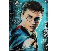 IETS19772RC Plaque métal relief 20x15 cm Sorcier Lunettes Rondes Cicatrice éclair front CELEBRITY ICONS Sidney Maurer LICENCE OFFICIELLE