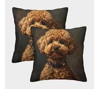IEVEDIVB Caniche Housse De Coussin Ensemble De 2 pour Chambre, Canapé, Chaise, Lit,Jardin Confort Et Douceur Garantis Housses De Coussin Carrées 50x50cm