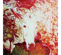 If He Dies, If If If If If If